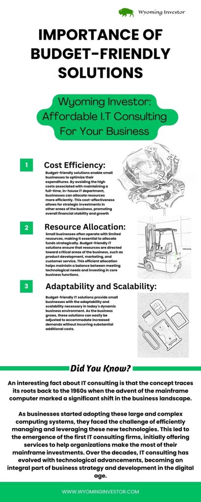 Importance of Budget-Friendly Solutions infographic by Wyoming Investor
